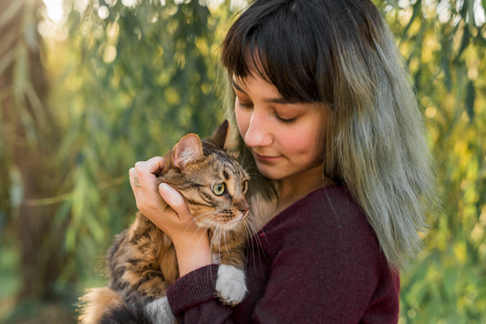 Calming the Feline Storm: Understanding and Managing Cat Aggression