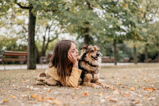 Weathering the Storm Together: A Guide to Monsoon Pet Care