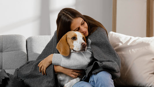 Pet Allergies: Understanding the Symptoms and Discovering the Best Remedies