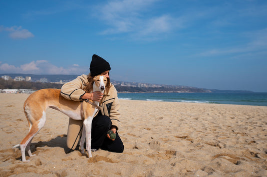 The Best Destinations for Dogs in India: Exploring Pet-Friendly Places