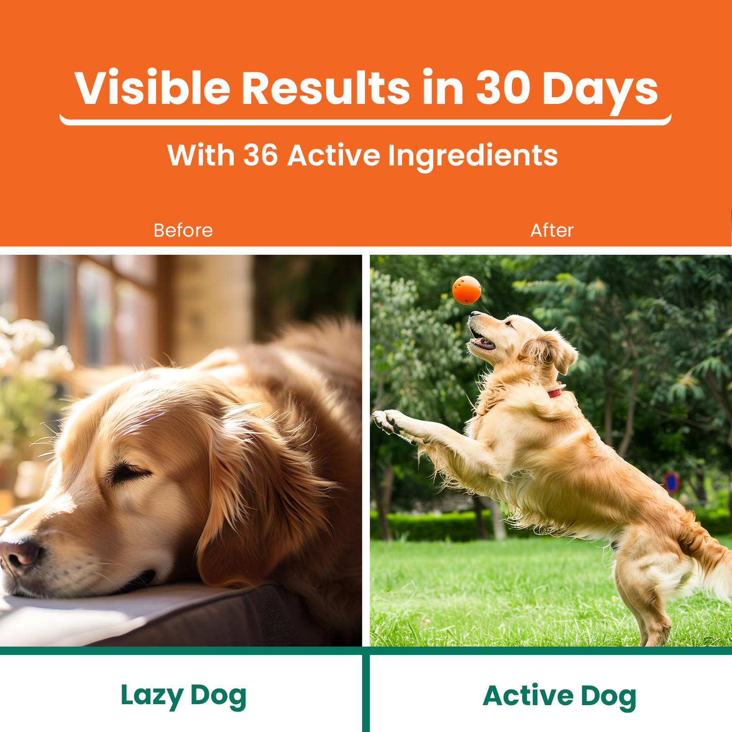 LICKICIOUS Multivitamin Chicken Flavour Syrup with 36 Active Ingredients for Dogs & Cats