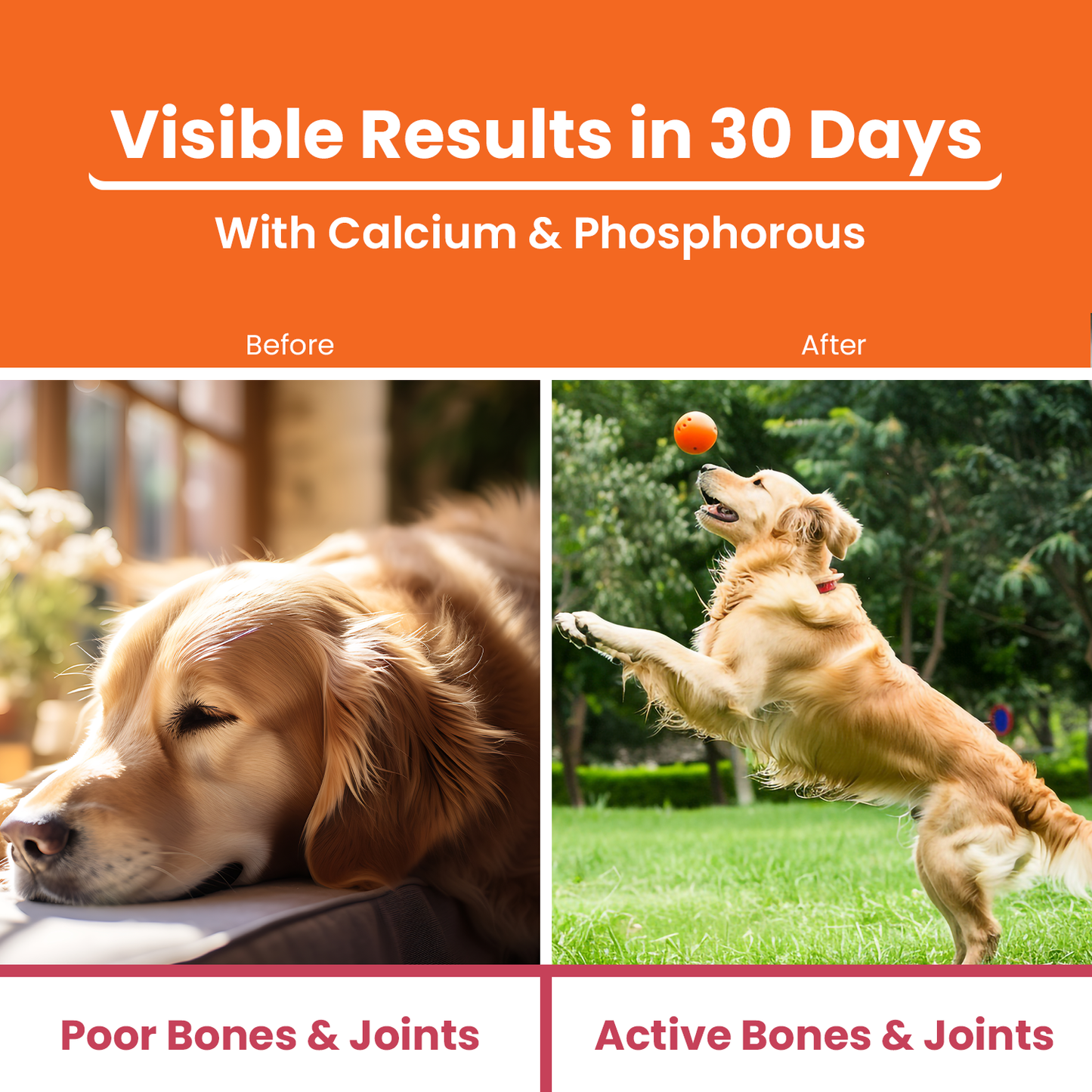 LICKICIOUS Bone & Joint Syrups with Calcium, Minerals & Vitamins, Chicken Flavour for Dogs & Cats