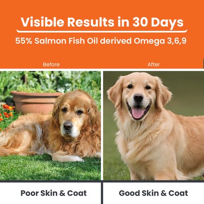 LICKICIOUS Skin and Coat Syrup with 55% Salmon Oil Omega 3-6-9 for Dogs & Cats