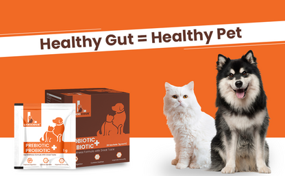 LICKICIOUS Pre & Probiotics Sachets for Gut Health & Digestion| Gut Health Supplement for Improved Immunity,Digestive Enzymes & Vitamins for better Digestion,Healthy Gut Flora for Cat & Dog-20 Sachets